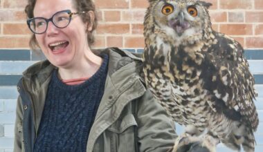 Went to the falconry centre, any idea what's so funny?