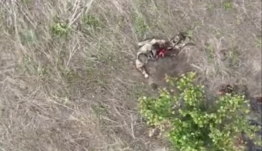 Russian places a grenade under himself.