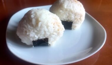 Onigiri (filled with salmon seasoned with soy sauce)