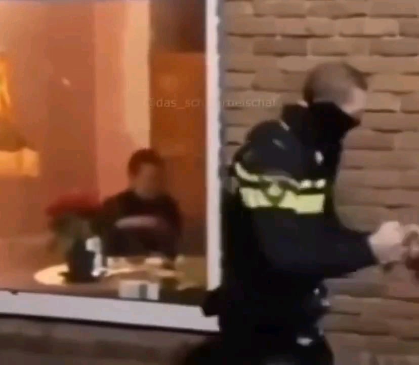 Average day in the Netherlands