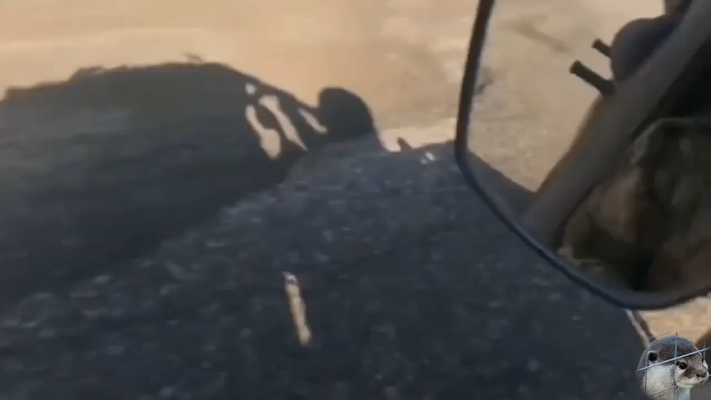 First person footage of Russian soldiers driving a Desertcross 1000-3 while unsuccessfully trying to shoot down an incoming FPV drone which then hits their vehicle, east of Zhelanne, Donetsk Oblast