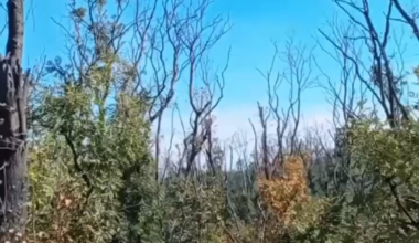 A Russian soldier captures footage of a Ukrainian "Dragon" drone in action at close range. 
The drone's strike results in the destruction of positions and the death of three servicemen.