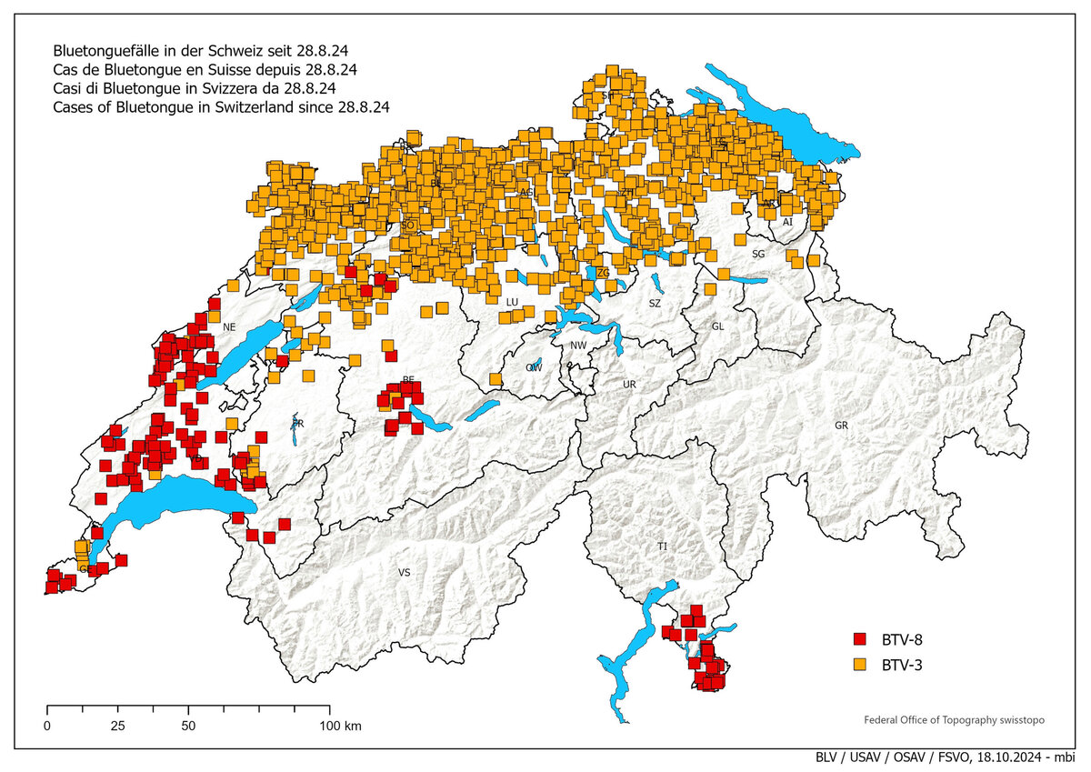 Die «Blaue Malaria» befällt die Schweiz