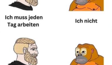 Vielleicht sind wir doch die Affen