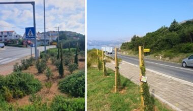 Croatia Naturally Yours: Konavle Plants Native Cypress Trees to Promote Eco-Friendly Tourism