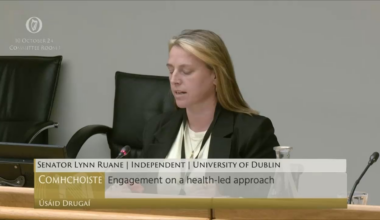 Dáil committee on drugs suspended after Sinn Féin accused of 'speaking out of two sides of the mouth' on drug decriminalisation.