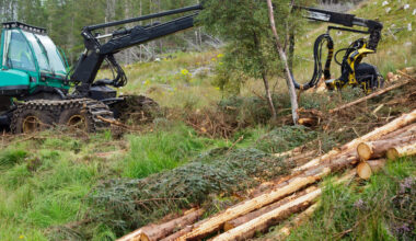 Energywood prices in Finland increase sharply in Q3 2024