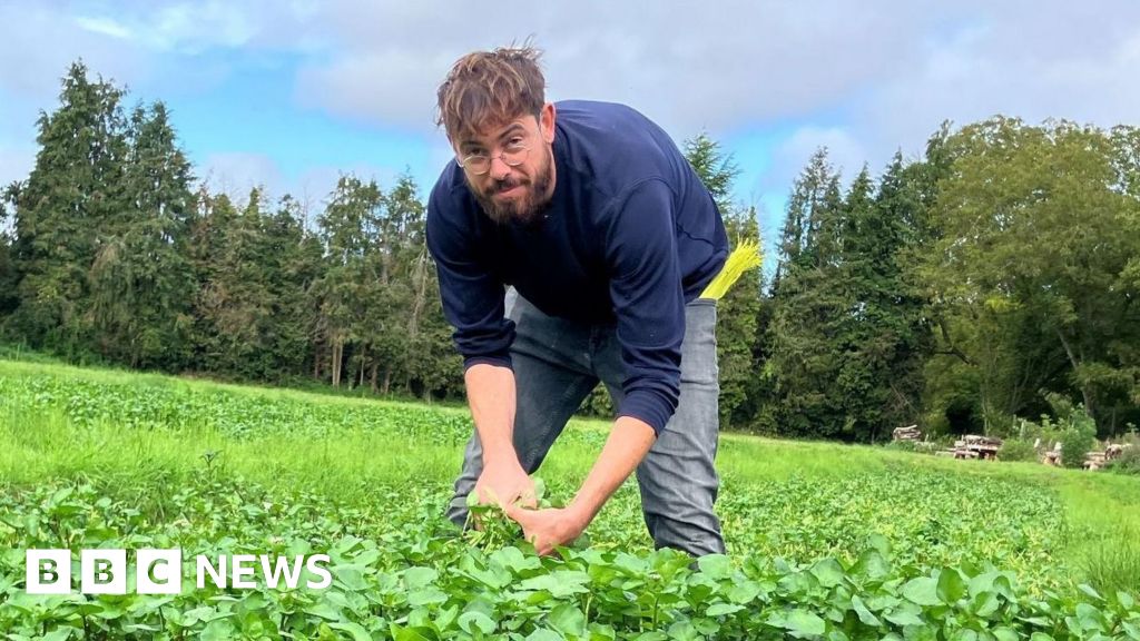 The hybrid workers in France seeking fulfilment in the fields