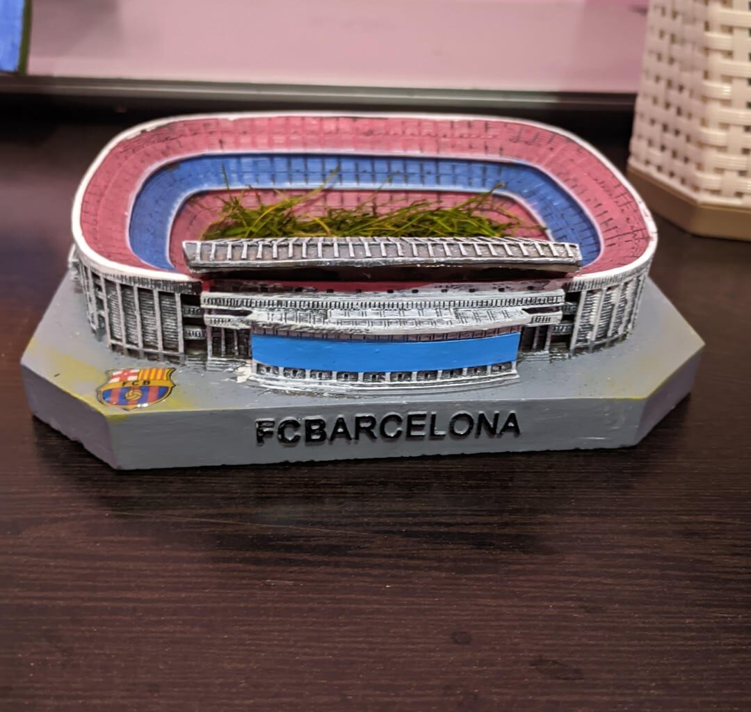 I now own a piece of the Nou Camp turf!