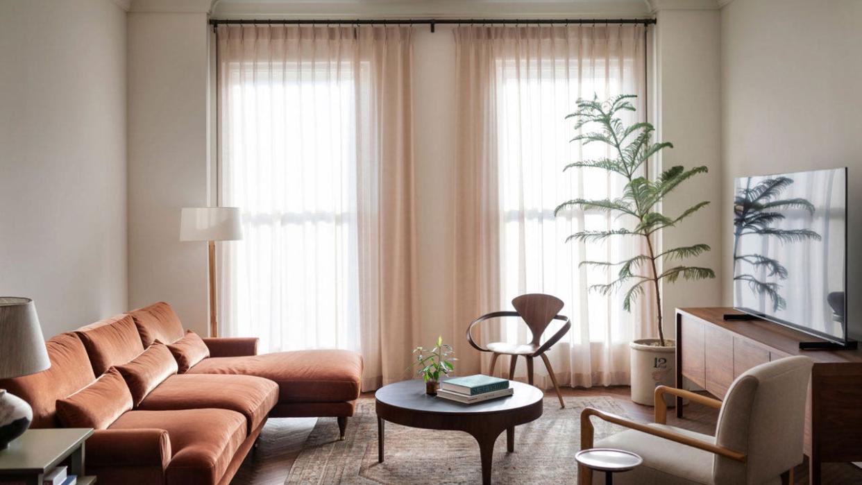 A modern living space with a tall house plant in corner and small table in center in front of a couch