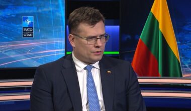 Ukraine must be allowed into NATO, Lithuanian defence minister tells Euronews