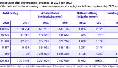 Fakta om företag i Sverige | Omsättning och lönsamhet - Företagande