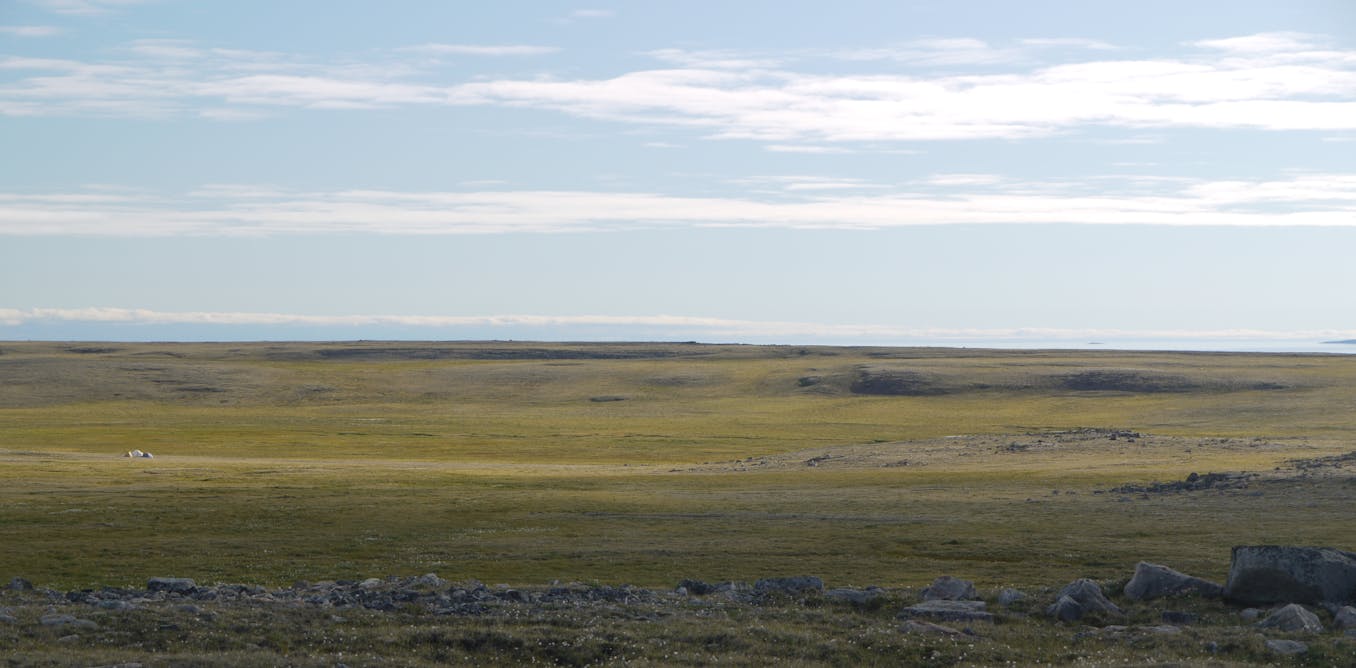 The Canadian Arctic shows how understanding the effects of climate change requires long-term vision