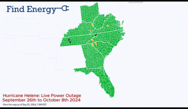 [OC] Time Lapse of Hurricane Helene Power Outages : "Beautiful" isn't the right word :/