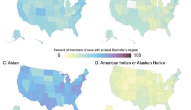 Frequency of Bachelor's Degrees by State in USA for Four Races [OC], GoogleVis DataCharts