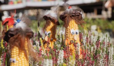 7-Tage-Wettertrend: Ruhiges Hochdruckwetter mit Nebel, Sonne und Chancen auf goldene Oktober-Momente