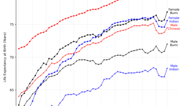 [OC] Life Expectancy at Birth in Malaysia, by Sex and Ethnic Group