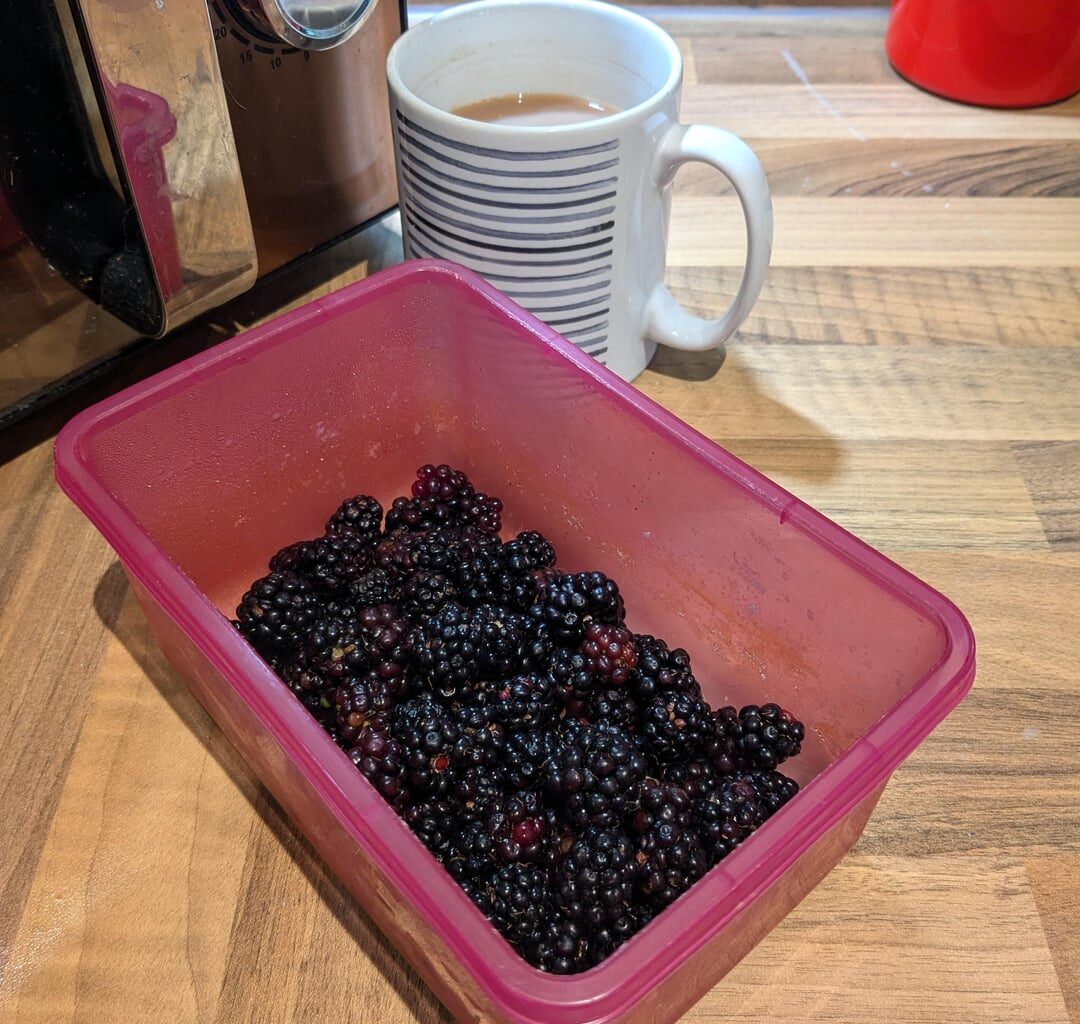 I rather thought I'd missed the season for blackberry picking...