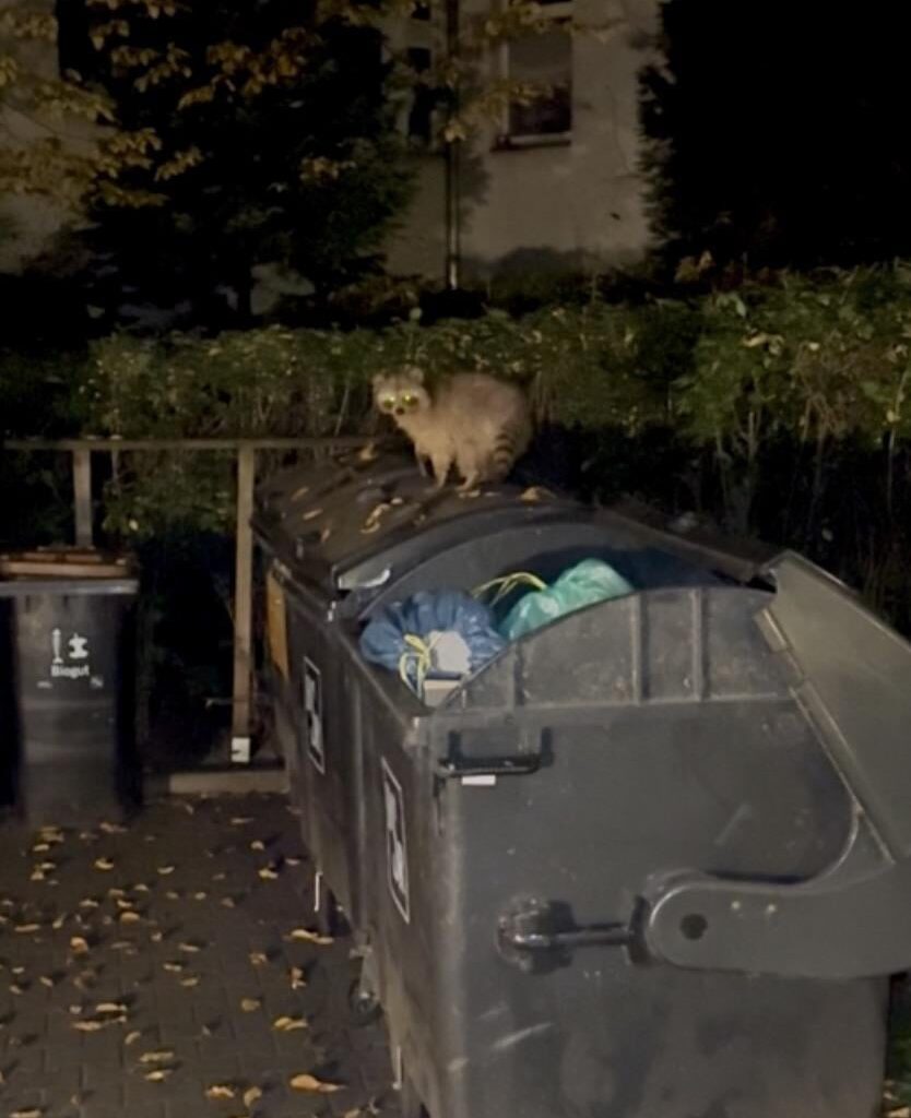 Die Natur zu Besuch in der Großstadt