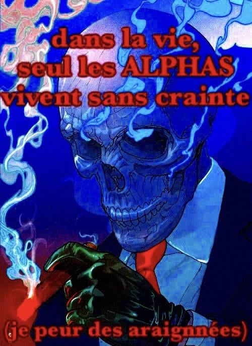 Tout le monde est un malfaiteur jusqu'à ce qu'on perde l'araignée de vue 🕷️