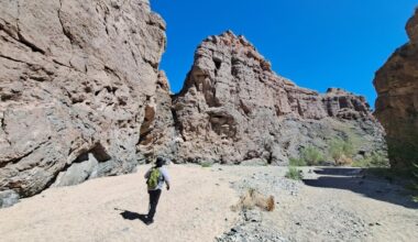 Boiling Point: California's role in the global fight to protect nature