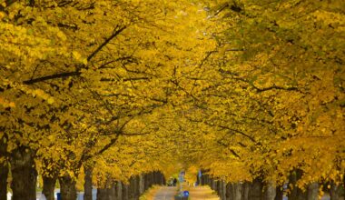 Autumn in Finland