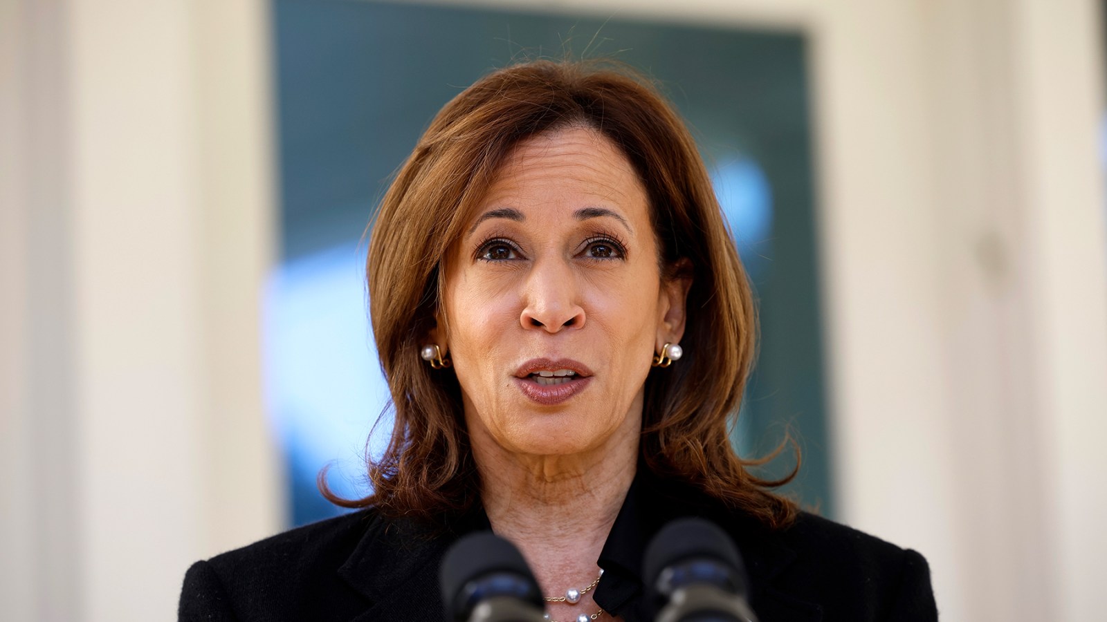 Harris Slams Trump for Fantasizing About Having Nazi Generals