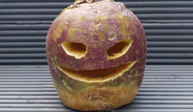 Turnip carving