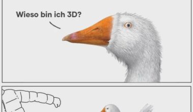 ich🦢iel