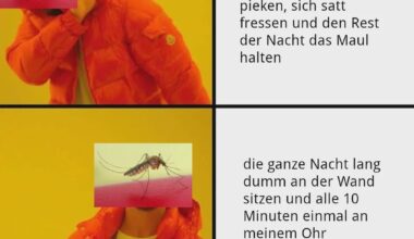 ich🦟iel