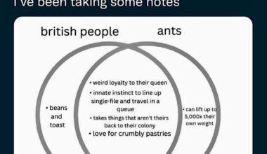 british people vs ants