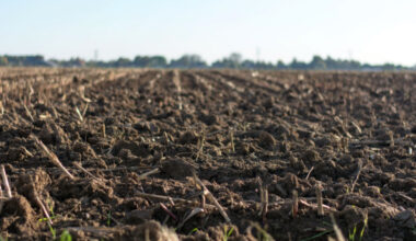 New biogas and biomethane projects boost Czech Republic's energy independence