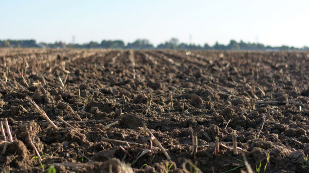 New biogas and biomethane projects boost Czech Republic's energy independence