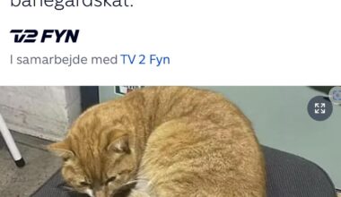 Peak nyheder og det er ikke til diskussion!