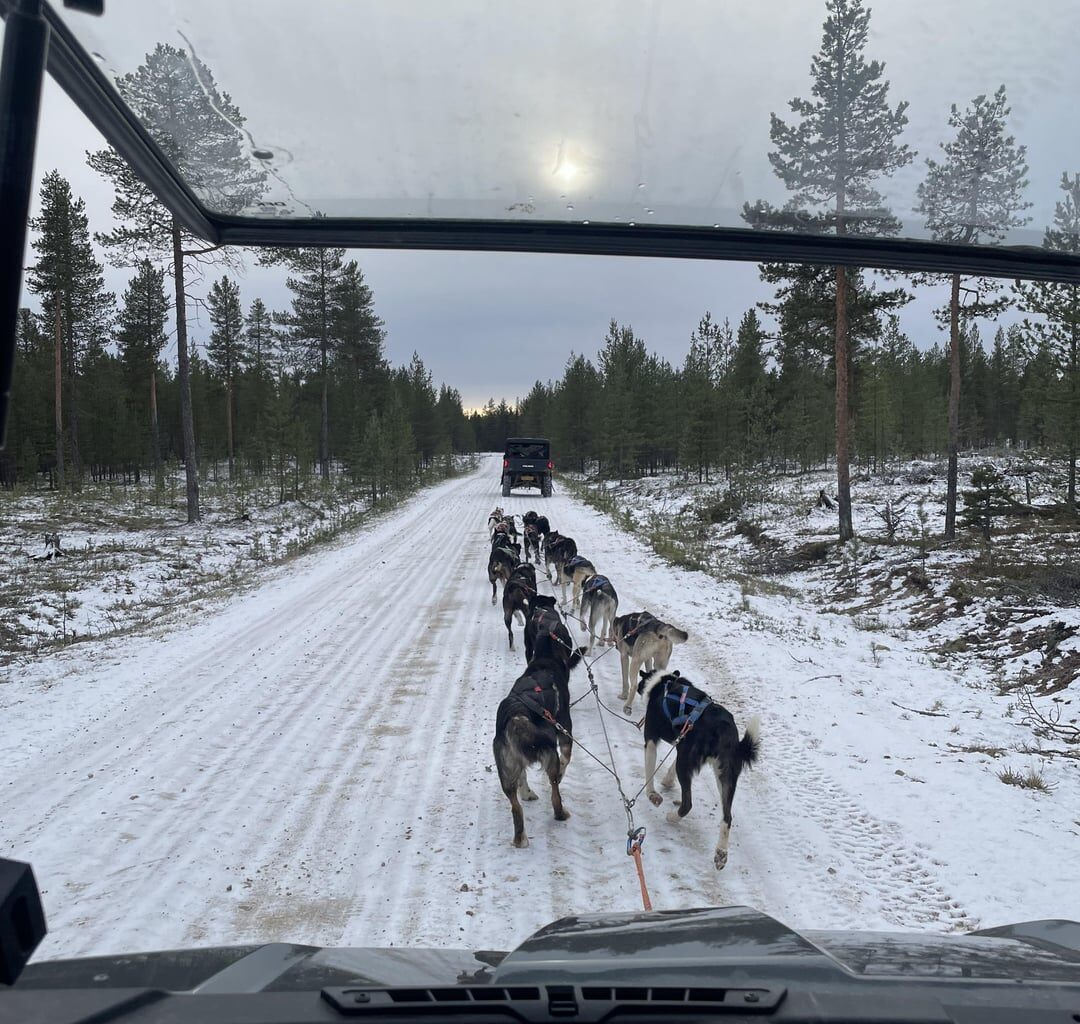 Finnish life be like ❄️☃️