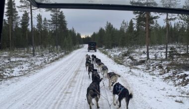 Finnish life be like ❄️☃️