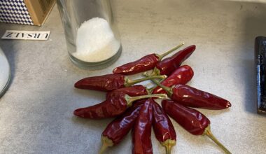 Was tun mit haufenweise geschenkten Chilis?