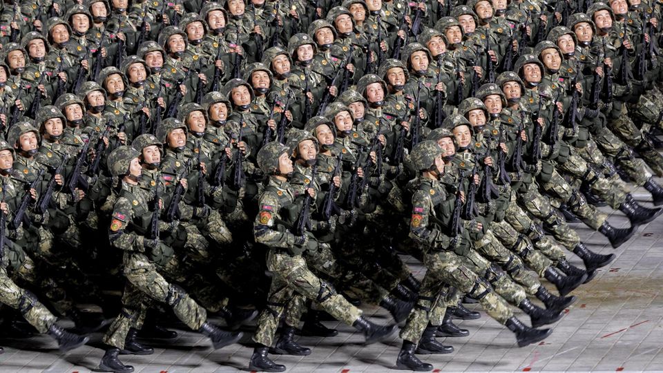 Nordkoreas Soldaten an der russischen Front? "Geht um Menge, nicht um Qualität"