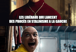 Les Liblaireau autoritaire, ce cancer de la politique...