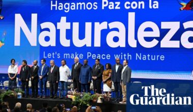 Alarm grows over ‘disturbing’ lack of progress to save nature at Cop16