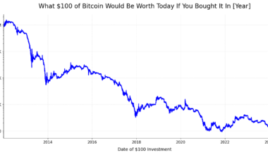 [OC] What $100 of Bitcoin Would Be Worth Today