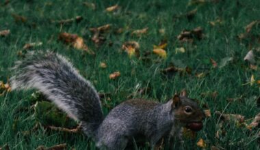 Today's weather was perfect for a leisurely walk in the park.