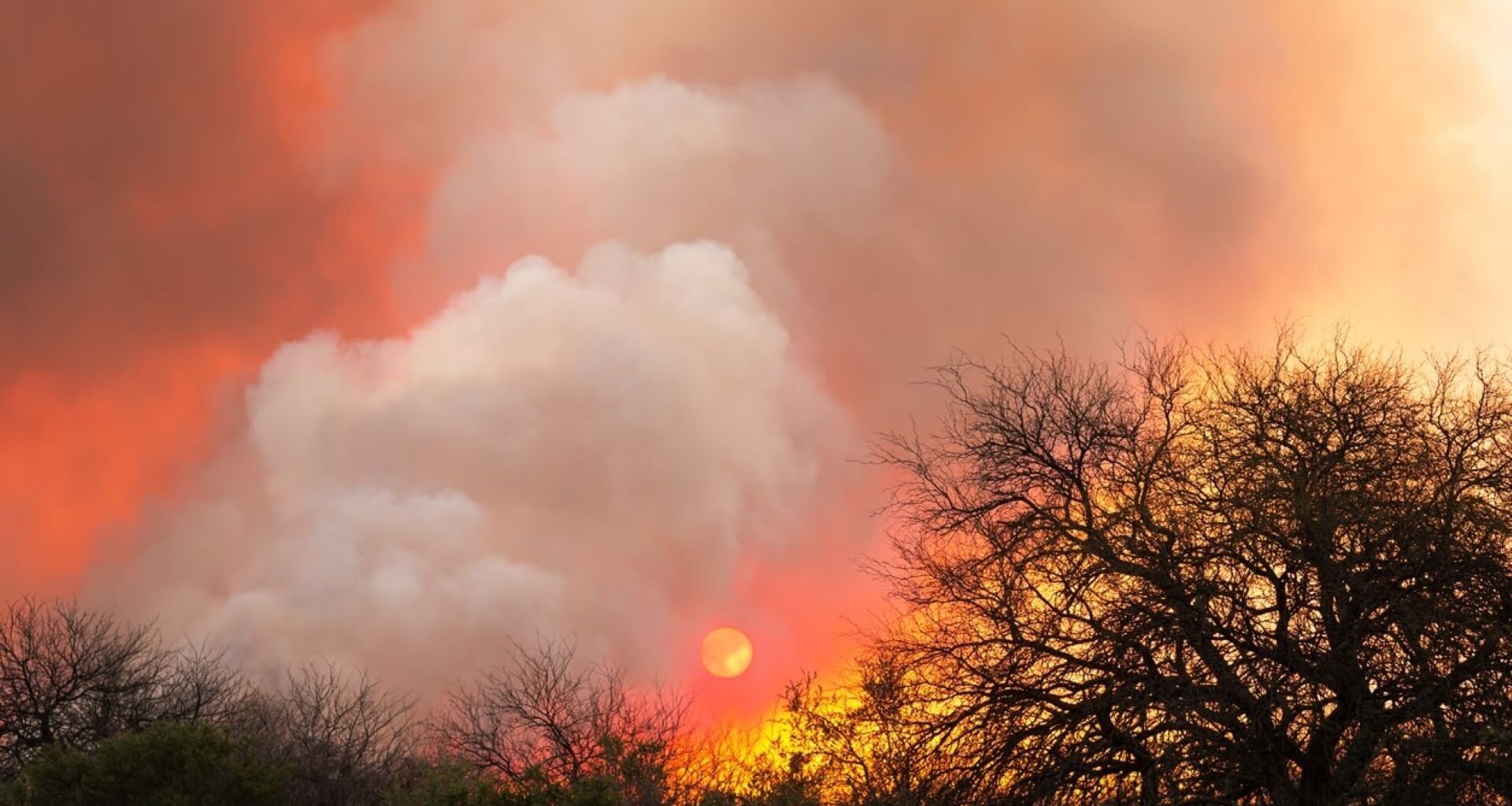 A troubling new wildfire trend has been discovered.