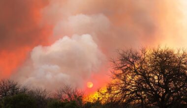 A troubling new wildfire trend has been discovered.