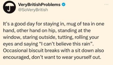 Good morning! Today’s instalment of VeryBritishProblems 🫖 ☔️