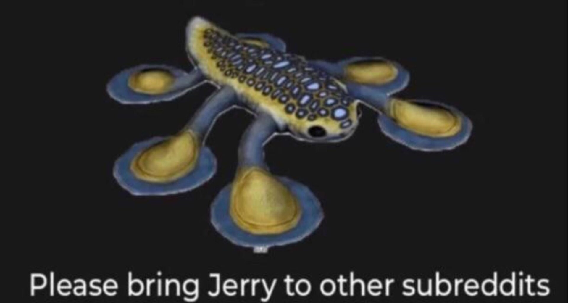 Jerry the hoverfish