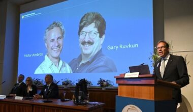 Qui sont Victor Ambros et Gary Ruvkun, les deux chercheurs qui viennent de remporter le prix Nobel de médecine pour la découverte des microARN ?