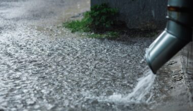 Up to 60mm of rainfall possible through Friday morning: Environment Canada