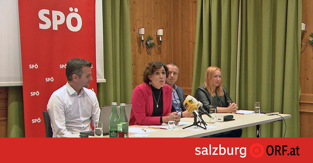 SPÖ: Suche nach Vorsitzendem dauert, Interims-Leitung