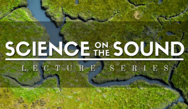 "Science on the Sound" is a monthly, in-person lecture series at the Coastal Studies Institute on the ECU Outer Banks Campus in Wanchese that brings perspectives from all over the state and highlights coastal topics in northeastern North Carolina.